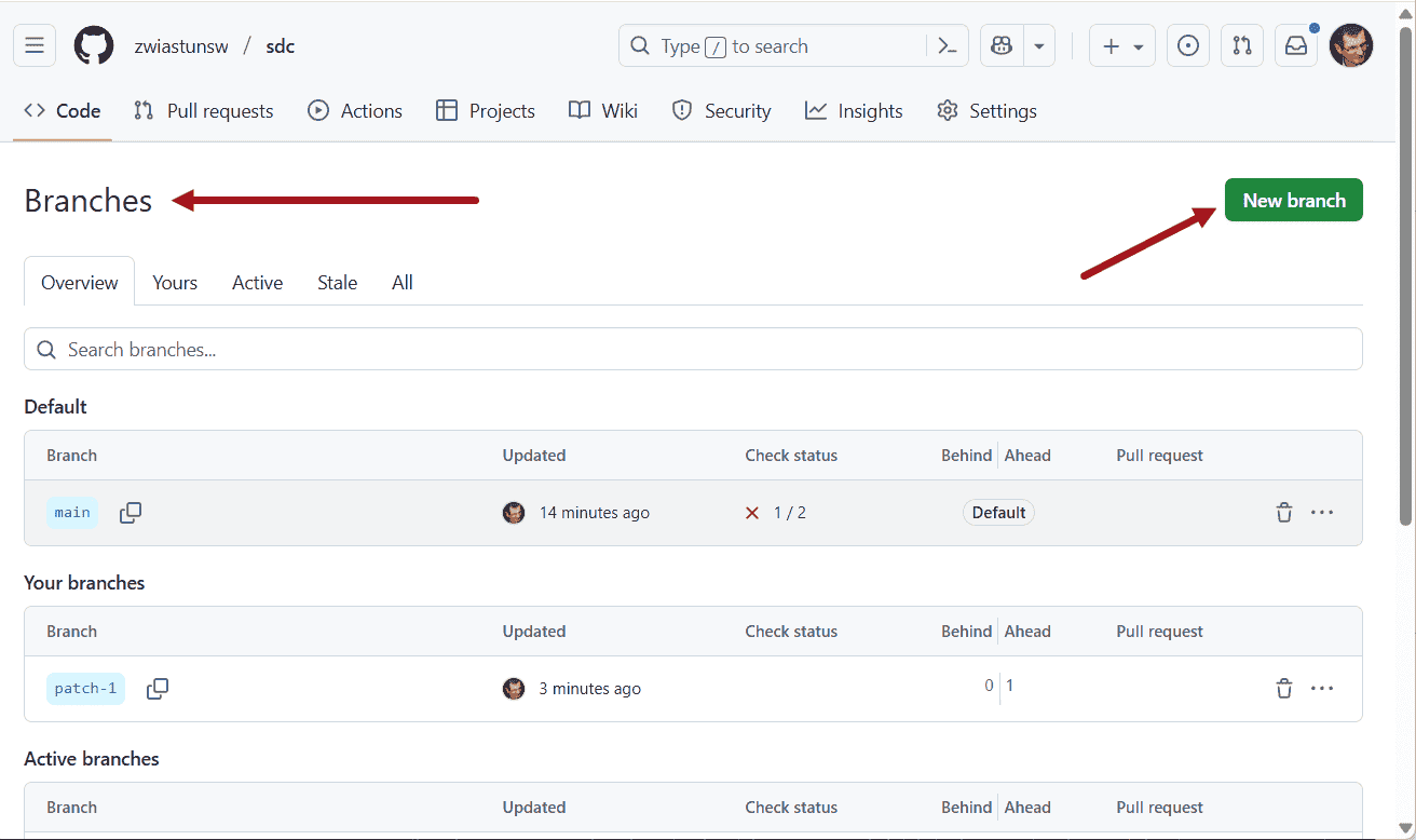 Lokalizacja przycisku Nowa gałąź na stronie Gałęzie