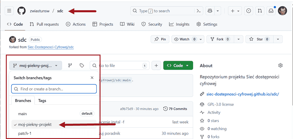 Wybierz dodaną gałąź z menu Gałęzie
